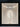 THE BLOOM