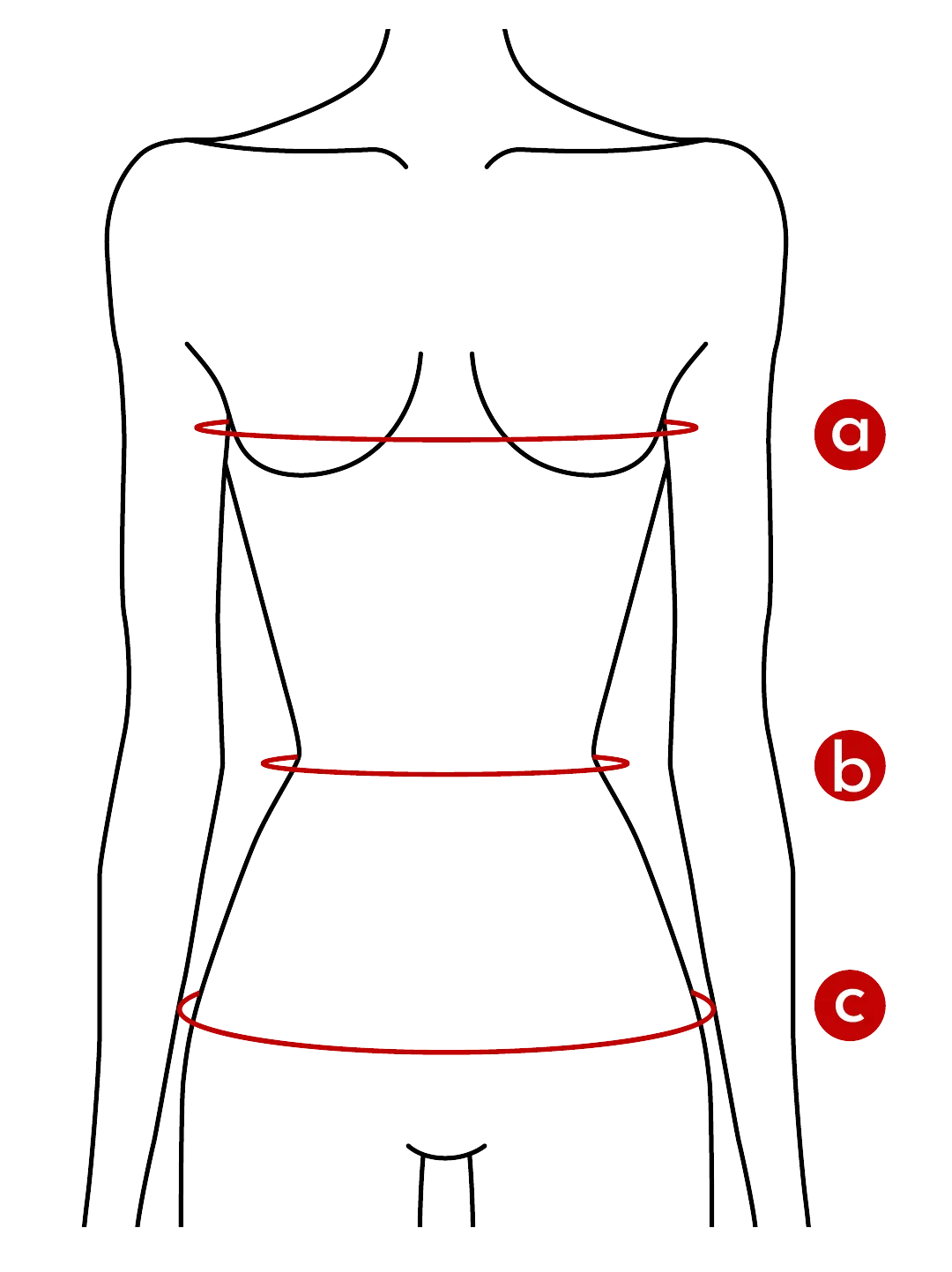 Body measurement guide showing bust, waist, and hip placement